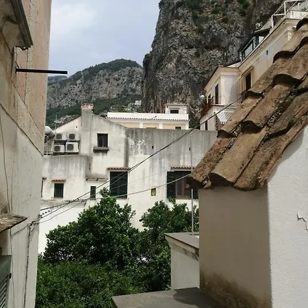 Casatua